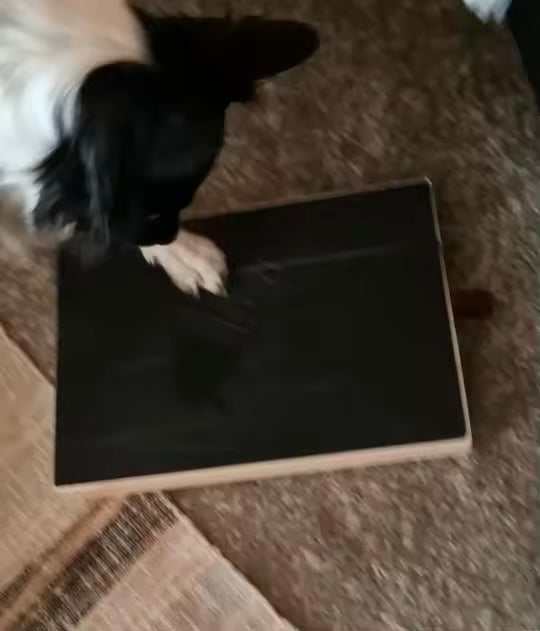 Tristan's Treat Box Dog Nail Board review photo